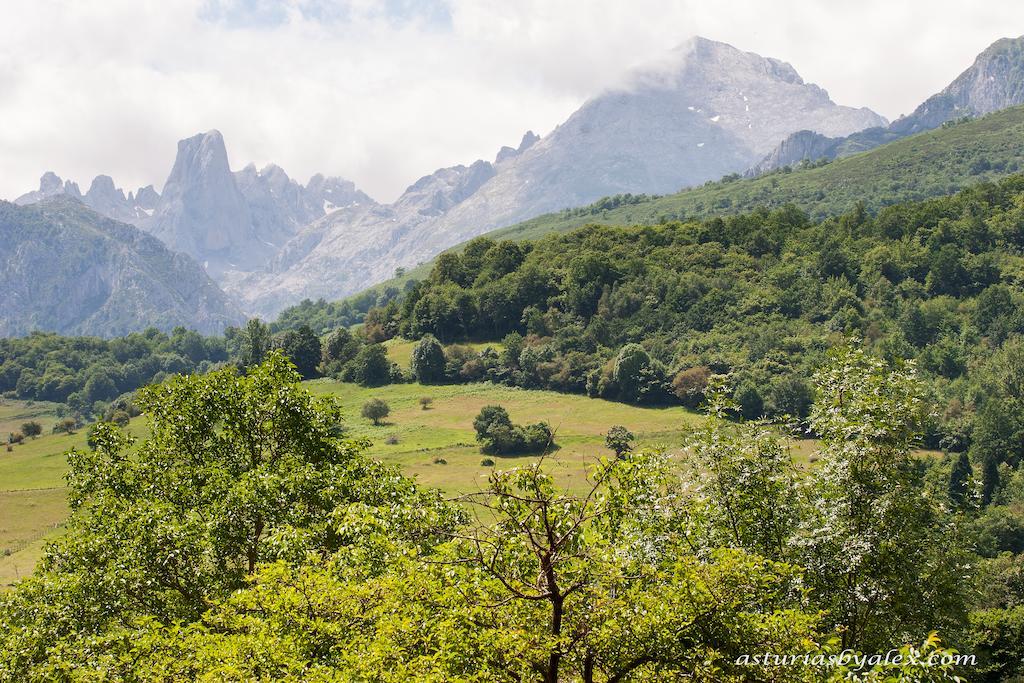 Hotel Rural Entremontes Onís المظهر الخارجي الصورة